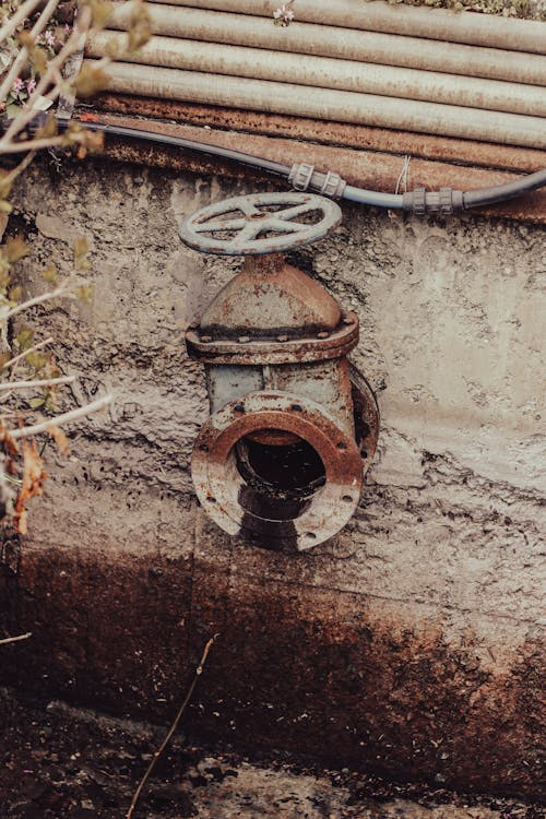 A cracked sewer pipe with visible damage