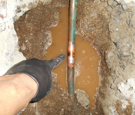A plumber pointing at a leak.