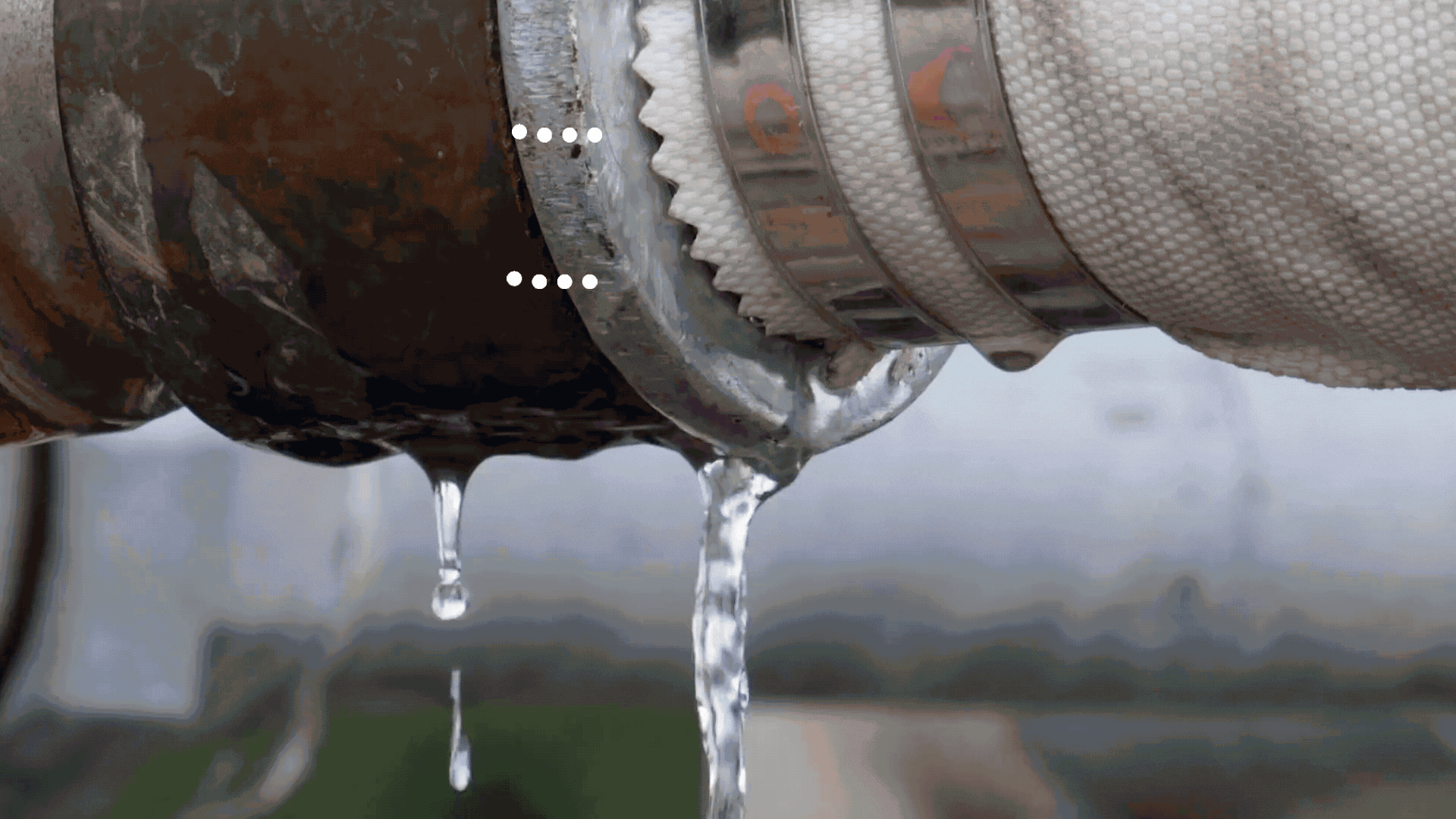 An Inforgraphic on The Importance of Leak Detection In Protecting Your Home