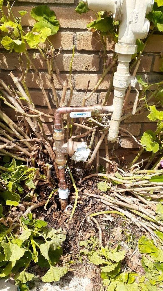Roots grown around a house’s external pipeline.