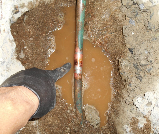 A plumber pointing to the leak.