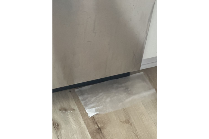 A backed-up and leaking dishwasher fixed.