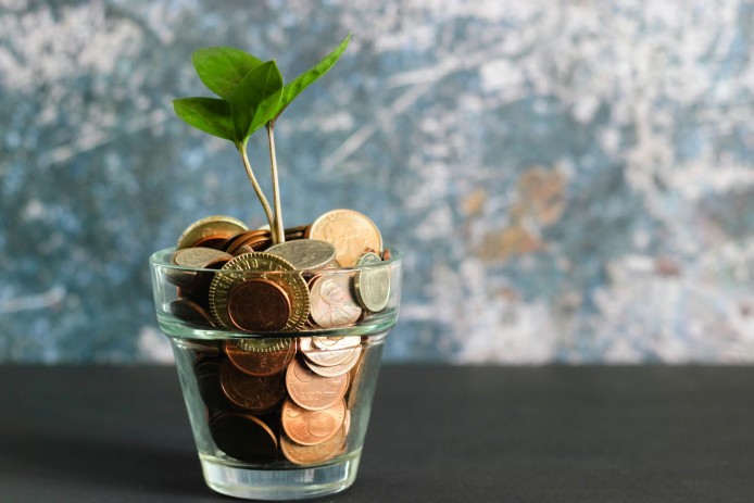A small glass vase filled with coins, with a plant growing out of it